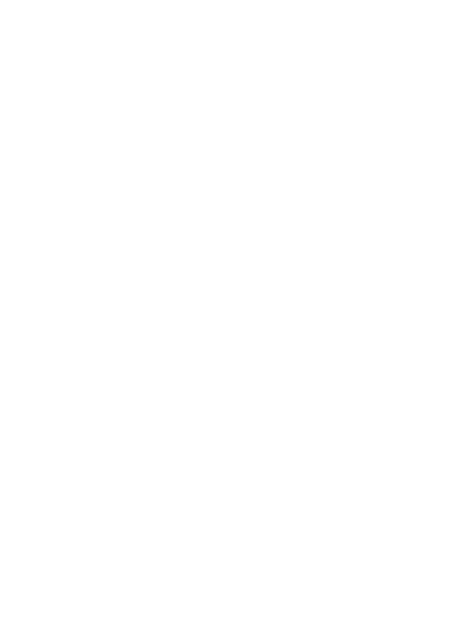 Bad Boys Site Services