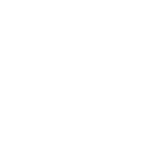 Crowd Control Services